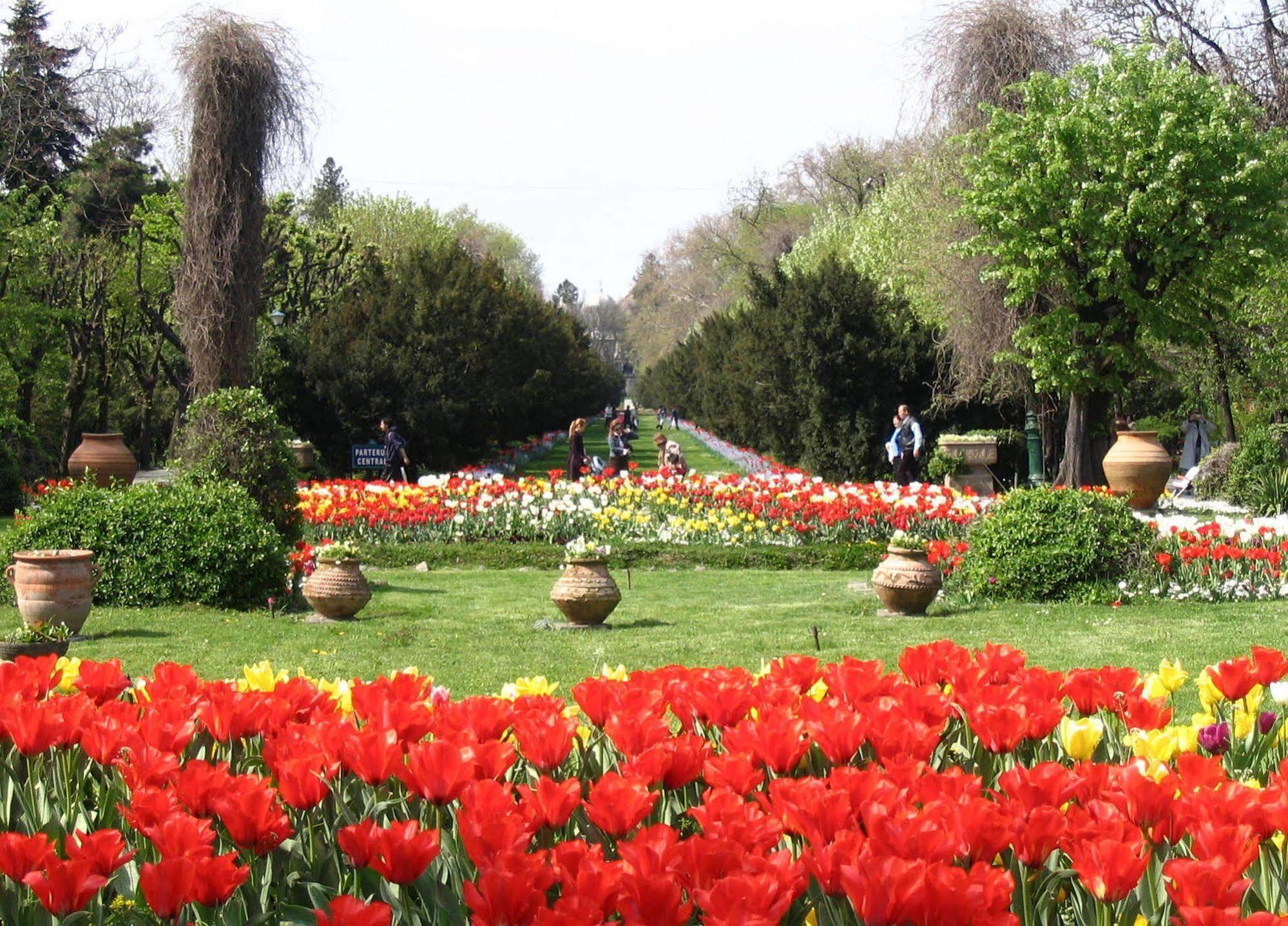 Central Park View Apartments Bükreş Dış mekan fotoğraf